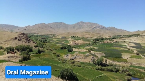 طالبان در بهسود به آزار و اذیت مردم می‌پردازند